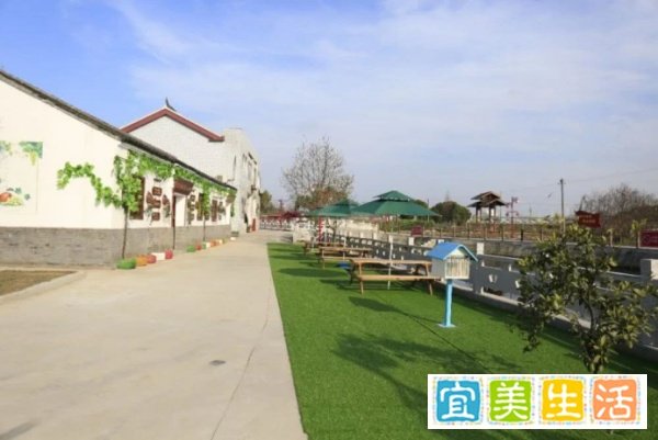 四川一窝蛇晒太阳，成了网红每天被数百人围观，为何蛇也晒太阳？