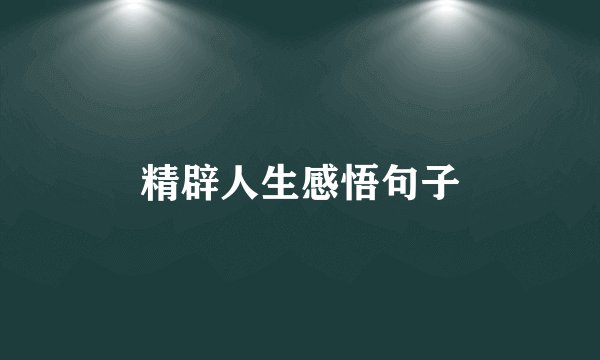 精辟人生感悟句子