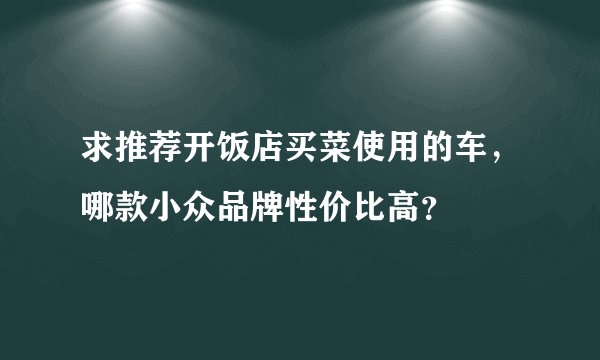 求推荐开饭店买菜使用的车，哪款小众品牌性价比高？