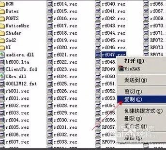 cfbug不掉血文件怎么安装