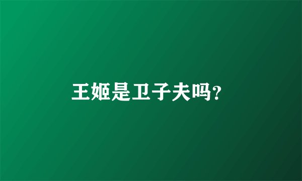 王姬是卫子夫吗？