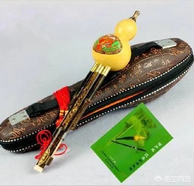 葫芦丝能吹的流行歌曲