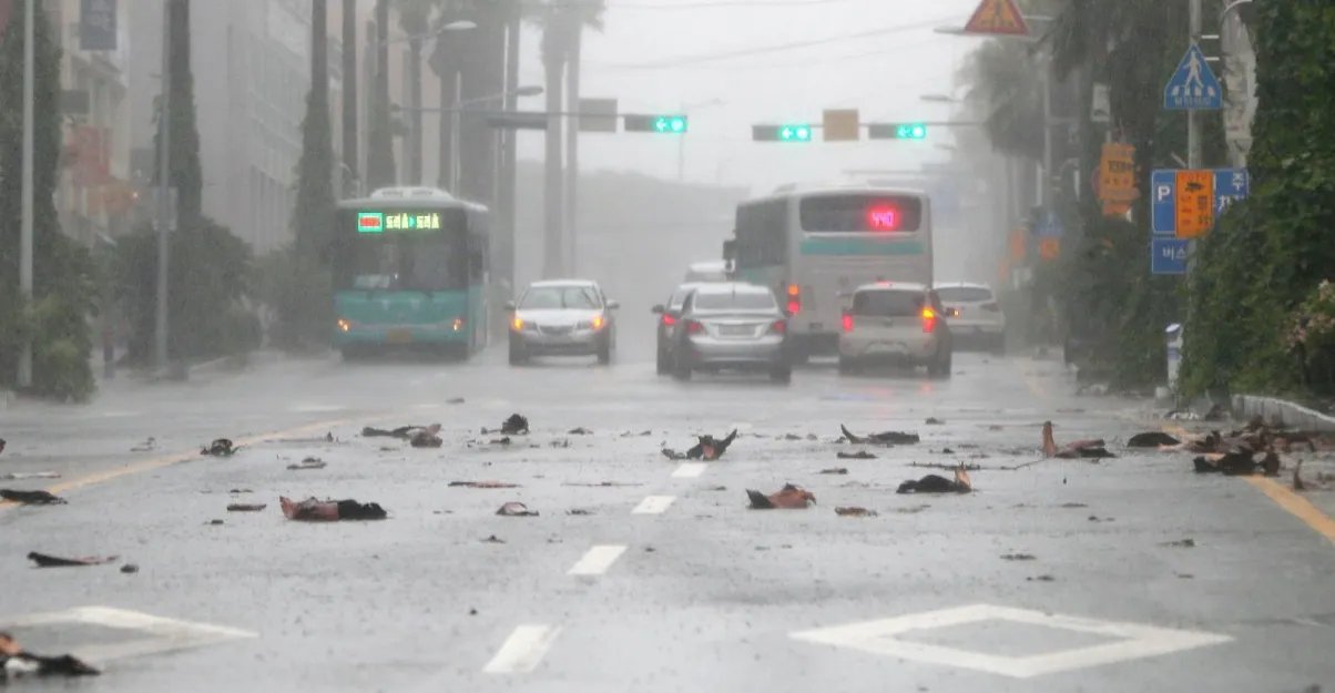 今年第16号台风“浪卡”即将登陆，会有哪些地方受到影响？