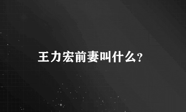 王力宏前妻叫什么?