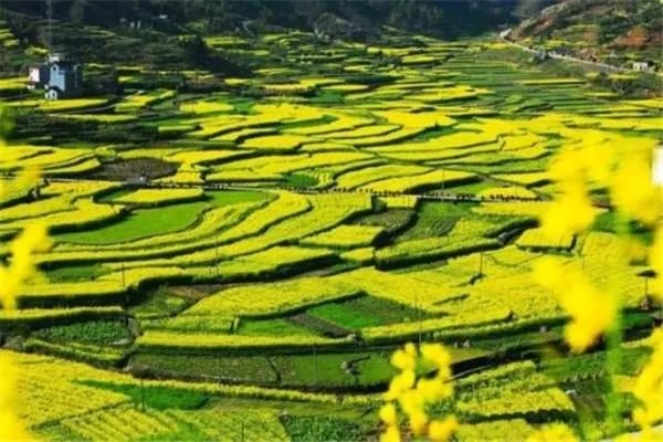 惠州旅游景点排名前十分别是哪里？