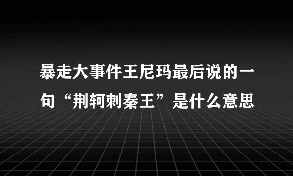暴走大事件王尼玛最后说的一句“荆轲刺秦王”是什么意思