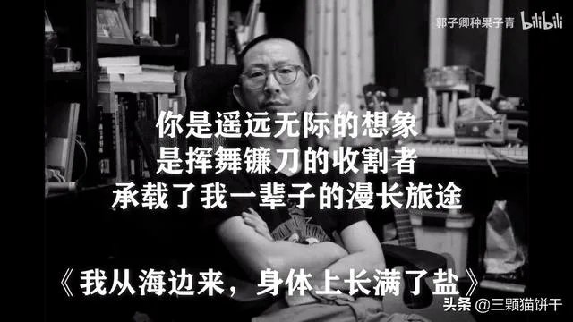 乐评人丁太升的歌怎么样？为何他能评论国内知名音乐人？