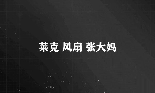 莱克 风扇 张大妈