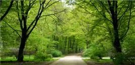 合肥世纪城自愿连锁经营业合法吗是传销吗