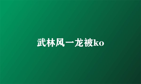武林风一龙被ko