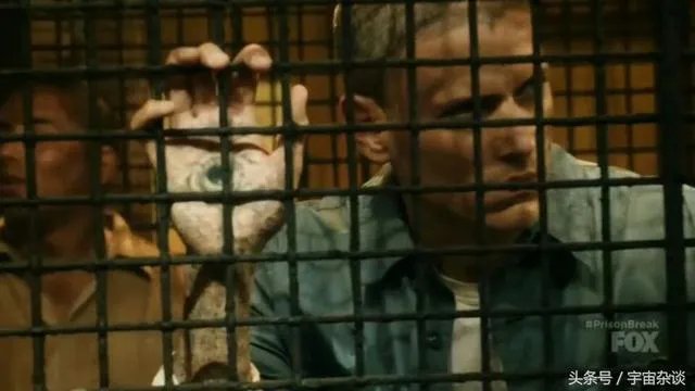 《越狱》第五季什么时候播出？
