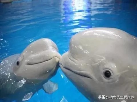 三天时间去哪旅游比较好？