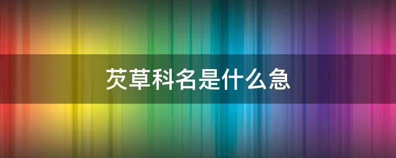 芡草科名是什么急