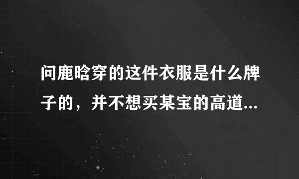 问鹿晗穿的这件衣服是什么牌子的，并不想买某宝的高道仿啊，因为衣服