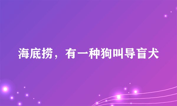 海底捞，有一种狗叫导盲犬