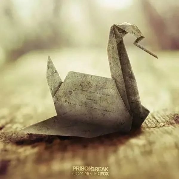 《越狱》第五季什么时候播出？