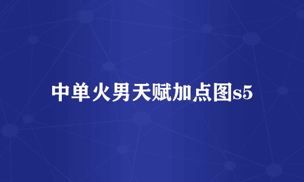 中单火男天赋加点图s5