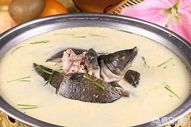 快过年了，你家里都有那些奇石宴中的“硬菜”？