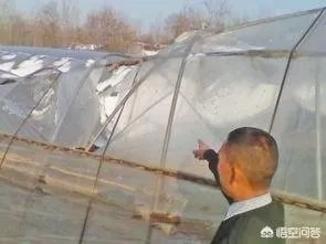如何看待2018年的第一场暴雪，将安徽一农民的大棚压垮，损失200多万元？