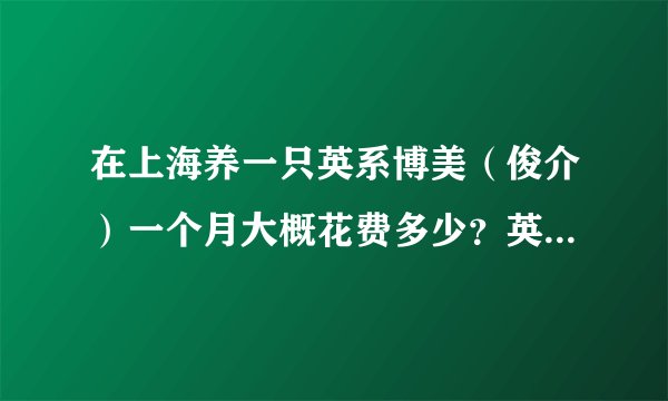 在上海养一只英系博美（俊介）一个月大概花费多少？英系博美可以一个人在家吗？每个星期有两天不能陪它，