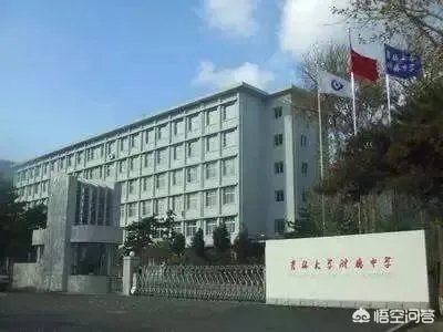 长春亚泰小学有择校费吗