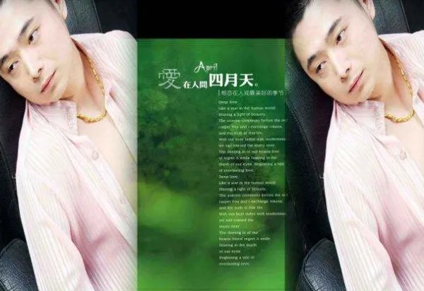 Mc洪磊个人资料