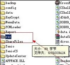 cfbug不掉血文件怎么安装
