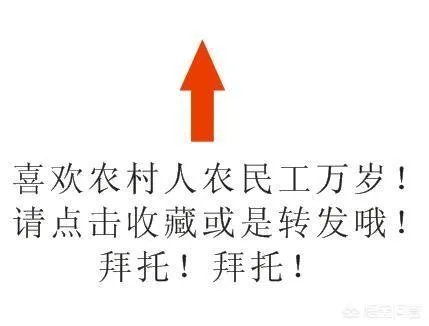 如何看待2018年的第一场暴雪，将安徽一农民的大棚压垮，损失200多万元？