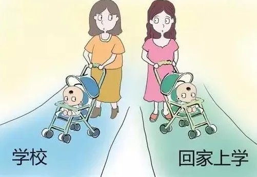 教育部如何回应在家上学问题？
