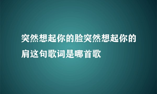 突然想起你的脸突然想起你的肩这句歌词是哪首歌