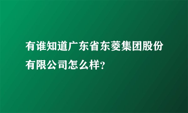 有谁知道广东省东菱集团股份有限公司怎么样?