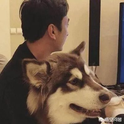 如何评价王思聪这个人？