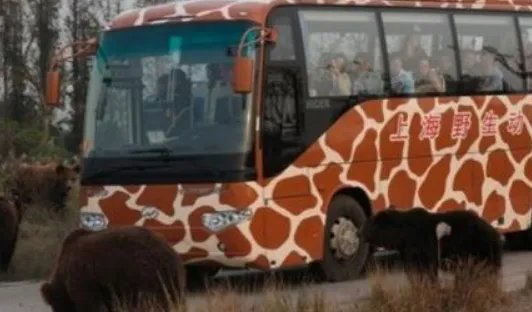 饲养员遭熊攻击身亡，应如何加强对野生动物的防范？