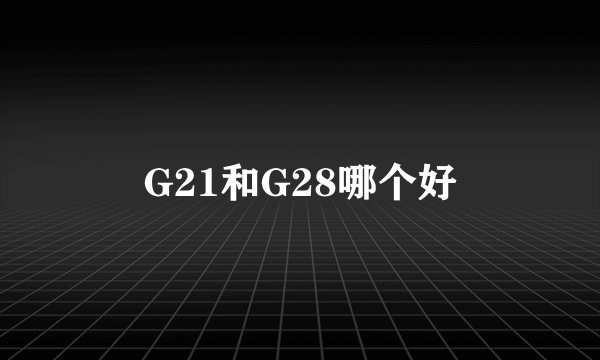 G21和G28哪个好