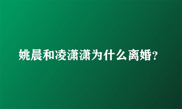 姚晨和凌潇潇为什么离婚？