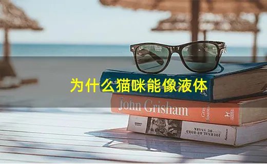 为什么猫咪能像液体