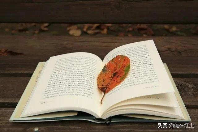 40岁从头再来，每天话费5个小时读书学习，算不算浪费时间？