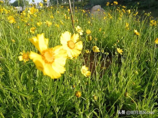 40岁从头再来，每天话费5个小时读书学习，算不算浪费时间？