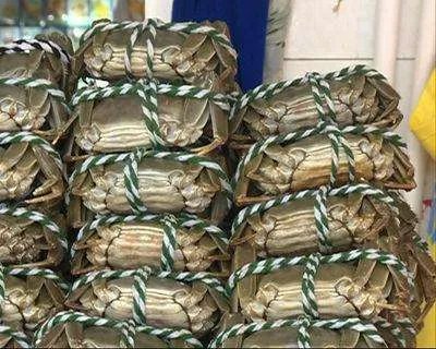 成语无肠公子是古人对哪种动物的别称 蚂蚁庄园今日答案10月2日