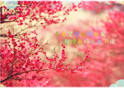 主角叫小六子宁凡的小说 小六子宁凡小说免费阅读