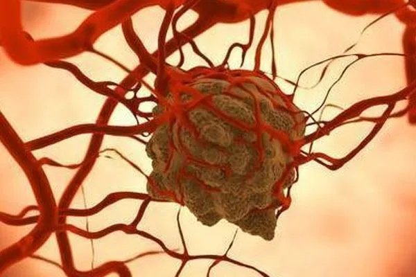 第二批抗癌药和罕见病药原料明年零关税,为何癌症始终无法被治愈?