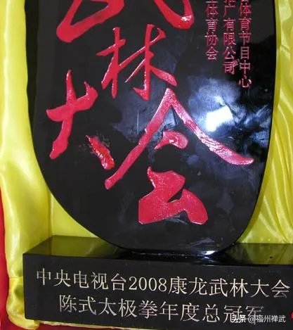 当今国内谁的太极功夫最高，你怎么看？