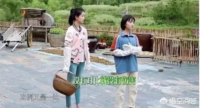 沈月在娱乐圈是一种怎样的存在?