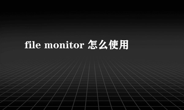 file monitor 怎么使用