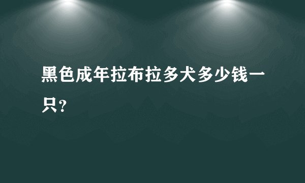 黑色成年拉布拉多犬多少钱一只？