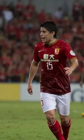 达里奥·莱昂纳多·孔卡的职业生涯