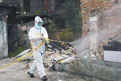 蒙古国新增鼠疫病例,鼠疫是通过什么进行传染的?