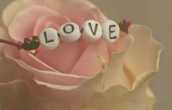 大学恋爱必修课不应该支持