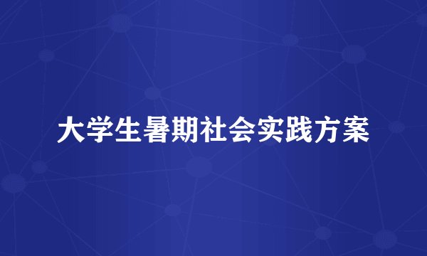 大学生暑期社会实践方案