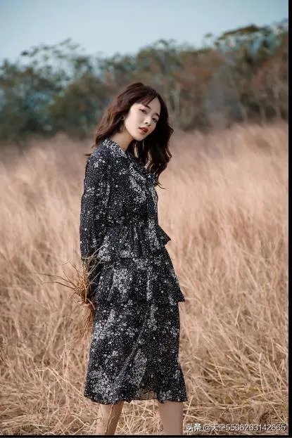 质量好又不贵的女装品牌有哪些？求推荐？